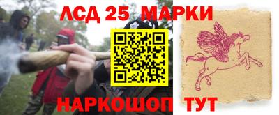 ГАЛЛЮЦИНОГЕННЫЕ ГРИБЫ Коммунар