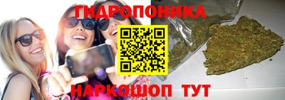 ГАЛЛЮЦИНОГЕННЫЕ ГРИБЫ Коммунар