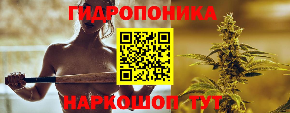 Марихуана Bruce Banner  Марихуана гибрид  Клинцы  Вход с VPN  Бошки Шишки ГИДРОПОН 